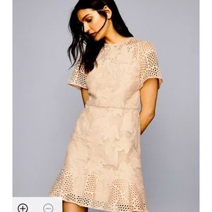 NWT Reiss Damara dress in cream